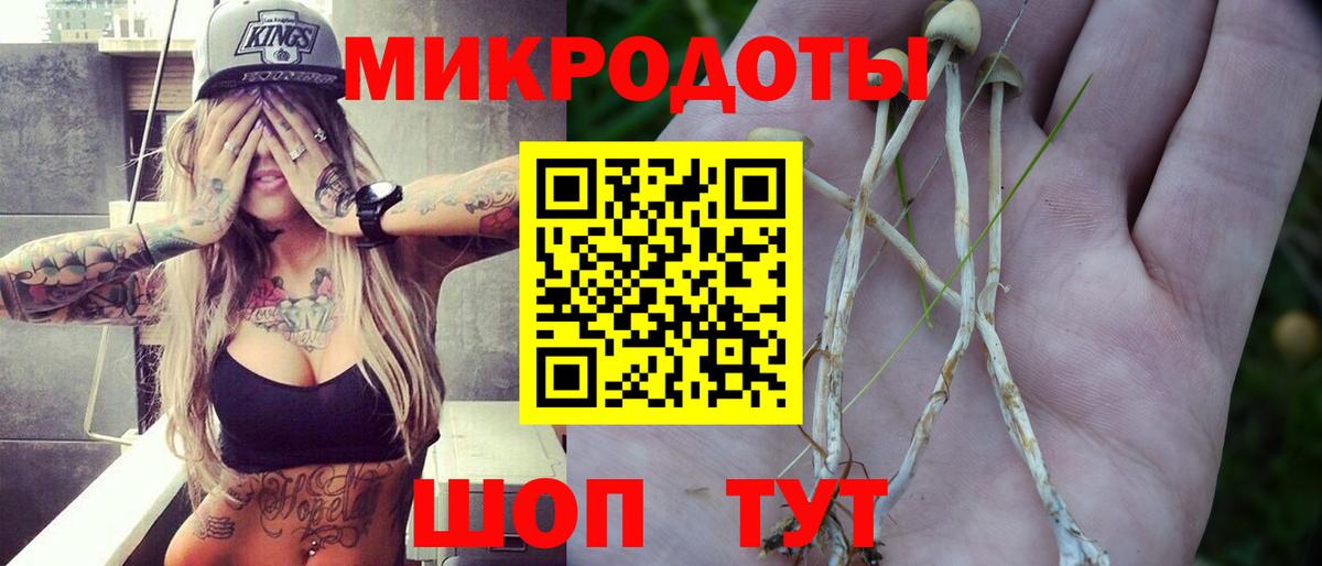 Галлюциногенные грибы Cubensis Печора